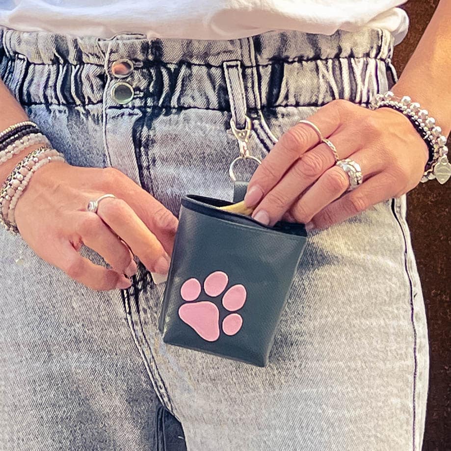 Hunde Goodie T&auml;schchen, Hundeguetzli T&auml;schchen